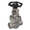 Globe valve Type: 1762 Stainless steel Socket weld Class 800